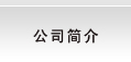 公司簡介
